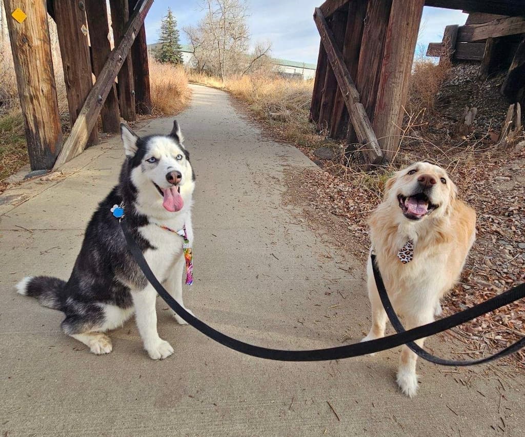 Ada and Piper
